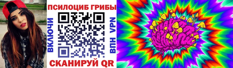 купить закладку Ак-Довурак Галлюциногенные грибы MAGIC MUSHROOMS